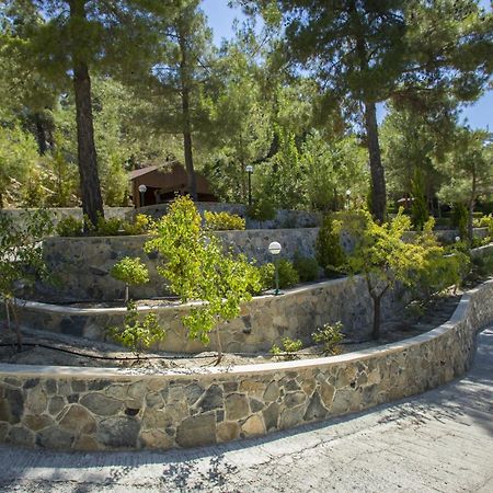 Вилла Ricky Chalet Near Troodos Spilia Экстерьер фото