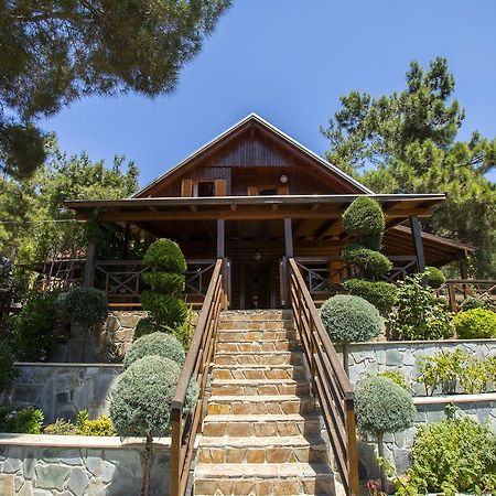 Вилла Ricky Chalet Near Troodos Spilia Экстерьер фото