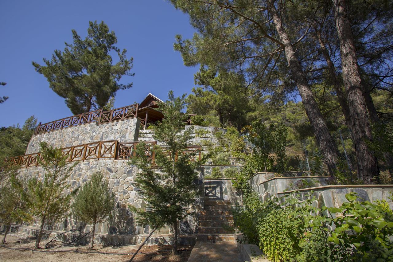 Вилла Ricky Chalet Near Troodos Spilia Экстерьер фото