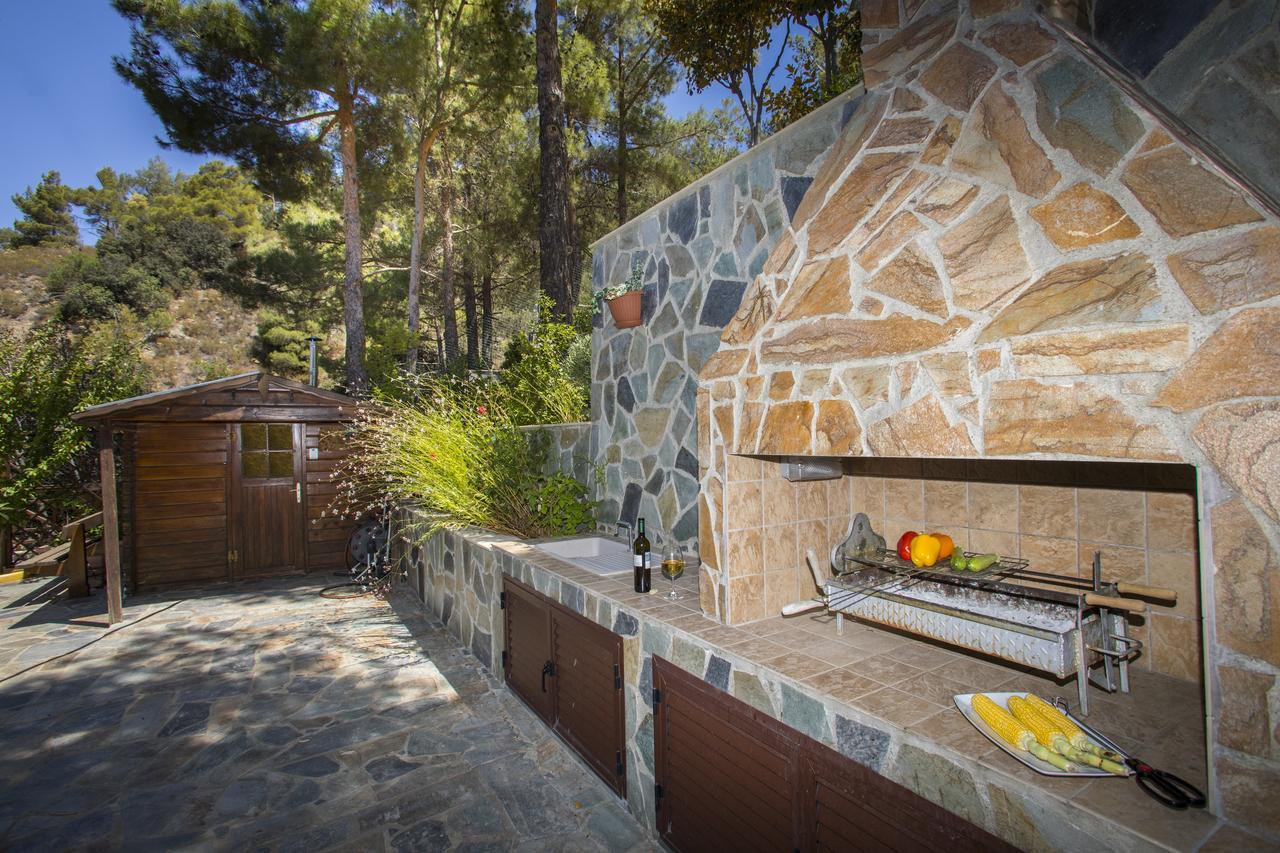 Вилла Ricky Chalet Near Troodos Spilia Экстерьер фото