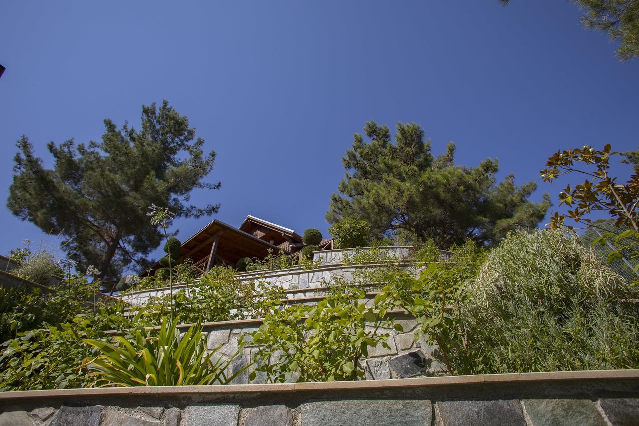 Вилла Ricky Chalet Near Troodos Spilia Экстерьер фото