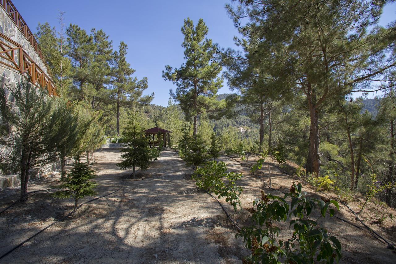 Вилла Ricky Chalet Near Troodos Spilia Экстерьер фото