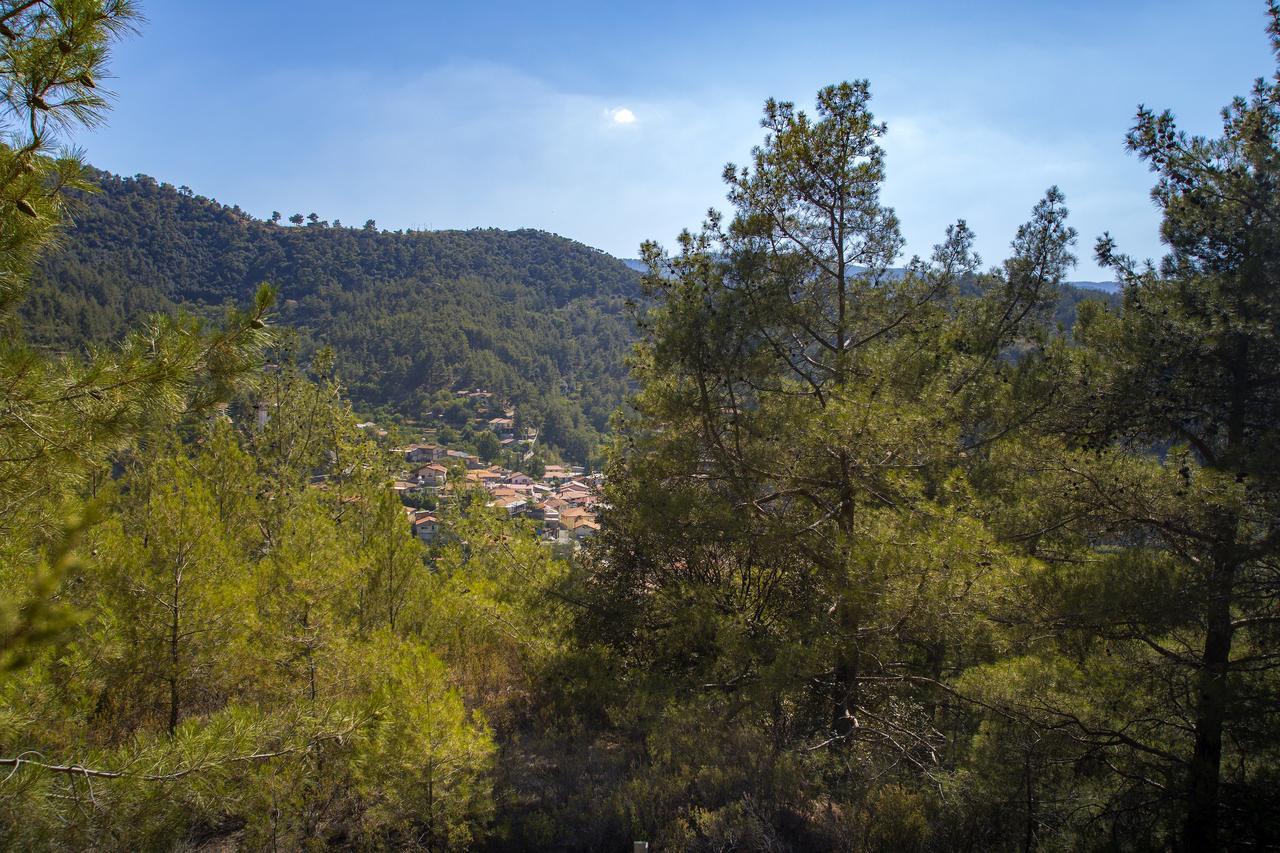 Вилла Ricky Chalet Near Troodos Spilia Экстерьер фото